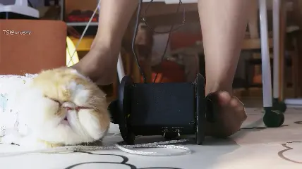 大艺术嘉 肉丝口腔音桌底踩踩-boKE